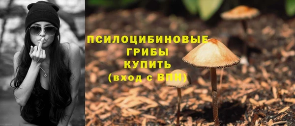 амф Балахна