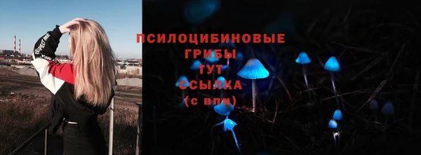 амф Балахна