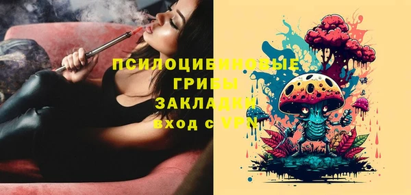амф Балахна