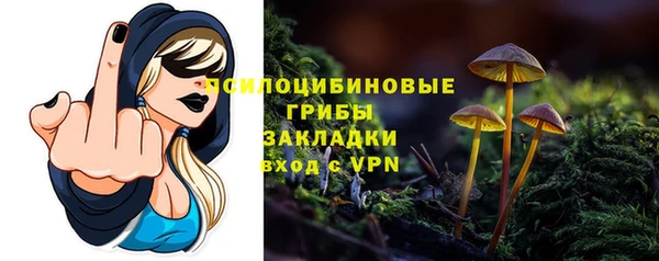амф Балахна